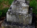 image of grave number 342617